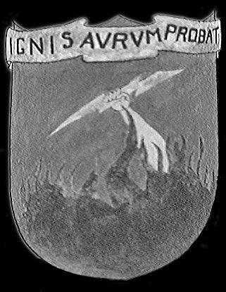insignia